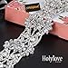 Holylove 4 Color Chunky Choker Shiny Bling Crystal Necklace for Women Jewelry Wedding Party Daily Accessories 1 Piece with Gift Box (N15-Silver)