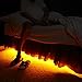 Emotionlite Light Sensor Bulb, Warm White LED (Motion Sensor Strip)