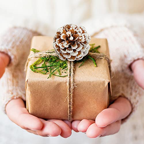 JOHOUSE 24PCS White Pine Cones , Snow PineCones Christmas Pine Cones Natural Pine Cones for Autumn and Winter Decor Christmas Decorations