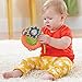 Skip Hop Rattle and Play Stroller Toy Jumble Ball