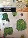 Cactus Theme Vinyl Tablecloth for Texas Western Garden Succulent Floral Green cacti Desert Unique Fun Party Theme (52 in x 70 in. Rectangle)