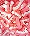 Gummy Fang Teeth Candy (2.0 Lbs - Approx 136 Pcs)