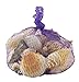 Sea Shells In Net Bag - Natural
