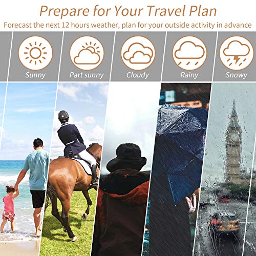 Beautlinks Stazione Meteorologico a Grana di Legno con Display LCD di Grandi per Interni con Termometro Interna, Umidità e Sveglia, per Camera da Letto da Ufficio (Inclusa 1 Batteria CR2032)