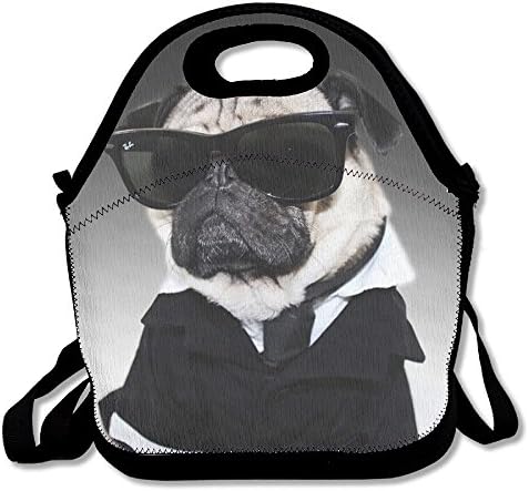 Cool Pug Reusable Insulated Lunch Bag School Picnic Thermal Carrying Gourmet Lunchbox Lunch Tote Container Organizer For Women,Teens,Adults-Lunch Boxes For Outdoors,Work, Office, Schoo