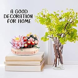 Succulent Bonsai Model Collection Construction