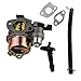 HIPA Carburetor with Air Filter Ignition Coil Tank Joint Filter for HONDA GX110 GX120 Engine
