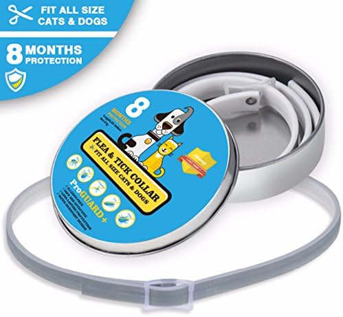 iYoway Flea and Tick Prevention Collar for Dogs &amp; Cats - 8 Months Flea &amp; Tick Prevention,No Allergy,Water Resistant,One Size Fits All Breeds and Sizes Pet,Keeping Your Dog Happy,Healthy and Pest-free
