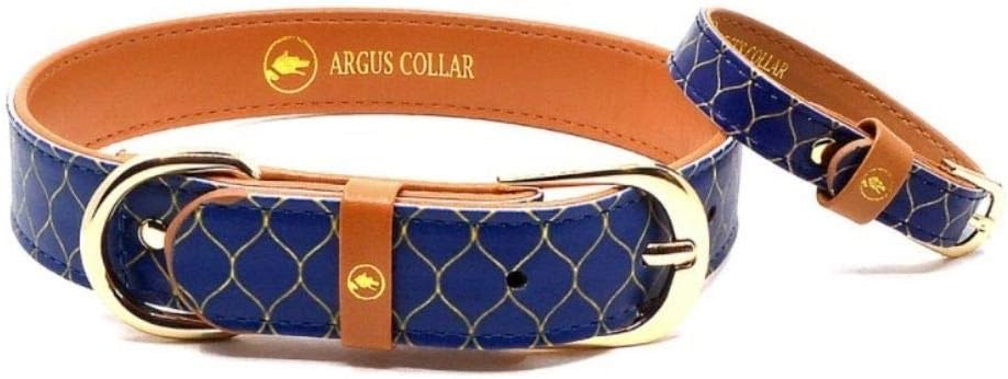 friendship collar amazon
