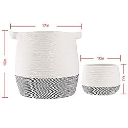 TerriTrophy 2pc Large Woven Storage Basket with