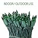 100 Green Miniature Christmas Lights Set - Mini Holiday String Lights