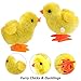 Liberty Imports 12 Pack Wind-Up Chicks - Fluffy Jumping Chicken Ducklings Bulk Wind Up Novelty Easter Party Favors Kids Toys