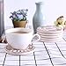 Coasters for Drinks 6-Piece Absorbent Stone Coaster Set for Drink - Coffee Style Drink Spills Coasters
