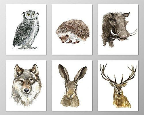 Forest animals nursery #A072 - Set of 6 Animal art prints (8x10).Forest nursery.Forest animals.Wildlife prints.Forest theme nursery.Woodland animals.Deer,Wolf,Owl,Hare,Boar,Hedgehog.