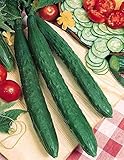 Tasty Jade F1 Cucumber Seeds - Delicious Long Asian