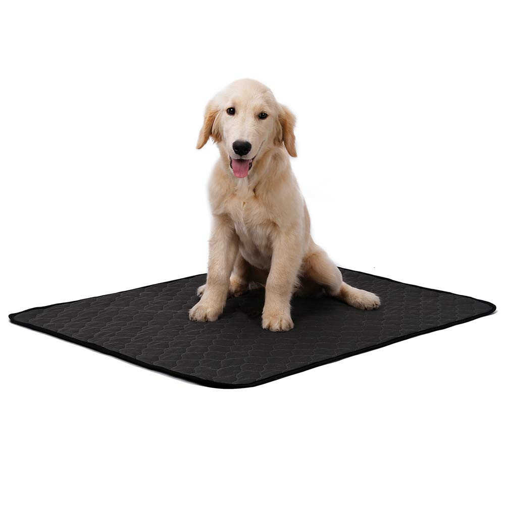 Pet Pee Pad,Waterproof Dog Blanket Washable Pee Dog Cat Pads Anti-Slip Washable Reusable Super Absorbency Quick-Dry Dog Large Training Pads for Sofa, Car, Cage, Grass, Bed ((Medium--67*50cm)