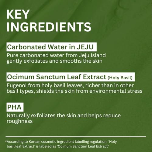 LBOYLOVE® Holy Basil Bubble Deep Mask – Holy Basil & Carbonated Water for Cleansing Pores & Blackheads, Korean Clay to Bubble Wash-Off Pack (90g / 3.17 oz)