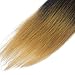 Dorsanee Ombre Honey Blonde Braiding Hair Pre Stretched 20 Inch 8 Packs Braiding Hair Extensions for Crochet Box Braids Twists Locs Hair Itch Free Soft Yaki Texture Hot Water Setting (20inch,#1B/27)