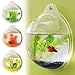 Fish Bubble - Deluxe Acrylic Wall Mounted Fish Tank w/Bonuses