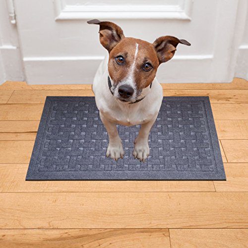 SafetyCare Rubber Backed Doormat - Charcoal Gray - 24 x 16 Inches - 2 Pack