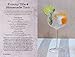 Gin Tonica: 40 recipes for Spanish-style gin and tonic cocktails