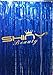 ShiDianYi 3FTX8FT-Foil Fringe Short-Royal Blue Window Foil Fringe Curtains/Photo Backdrops Christmas Decoration