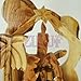 Zuluf Olive Wood Small Candle Nativity Hand Made with Certificate Holy Land | Wooden Nativity Set for Christmas | Comes with Bethlehem Certificate NAT009