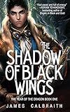 Front cover for the book The Shadow of Black Wings by James Calbraith