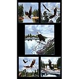 Majestic Bald Eagle 24 In. Panel Black Fabric