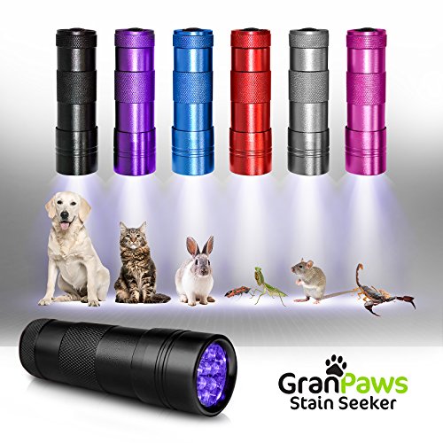 UV BLACK-LIGHT linterna Pet orina detector. LED ultrabrillante ...