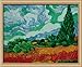 Diy oil painting, paint by number kit- worldwide famous oil painting A Wheatfield, with Cypresses by Van Gogh 16 * 20 inch.