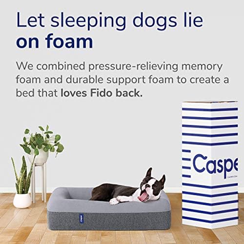 amazon casper dog bed