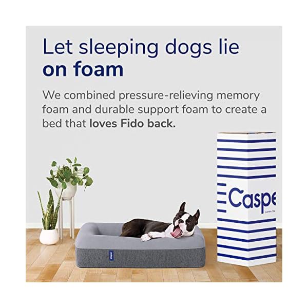 amazon casper dog bed