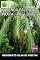 Livro Fazenda Palmital Prata-mg-brasil