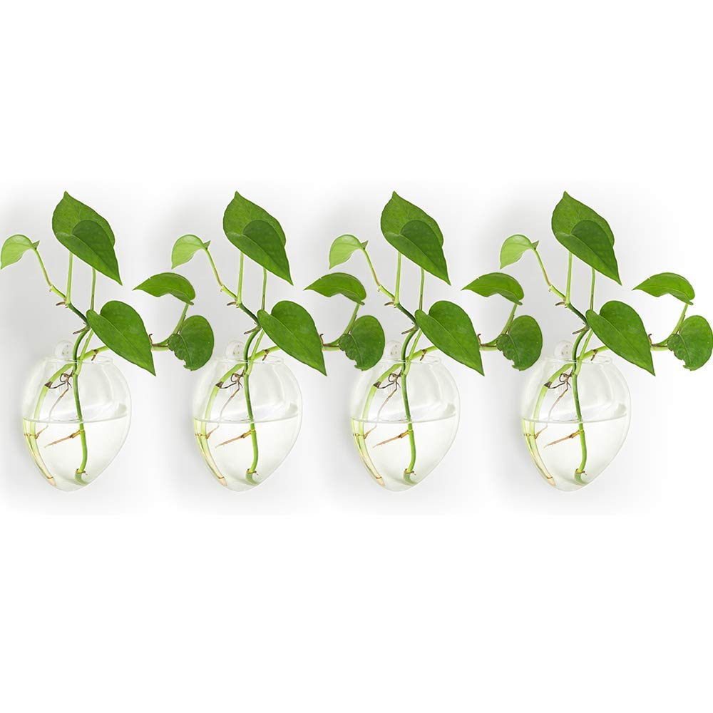 4 Pcs Wall Hanging Glass Planters Plant Pot - Water Planting Vases Air Flower Vase Plant Terrariums Plant Container (Style 4, 4 Pcs)