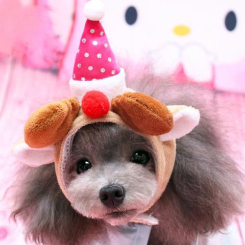 Alfie Pet by Petoga Couture - Qeno Deer Hat Party Costume (for Small Dogs & Cats) - Color: Brown
