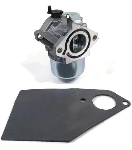 kurupac　F-8950RES/IL Ag970総銀製　18k Amazon.com: Briggs And Stratton 192432