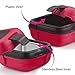 innacle Thermoware Lunch Box Bag Set for Adults and Kids, Pink, Stainless Steel and Plastic, Matching Cutlery Included