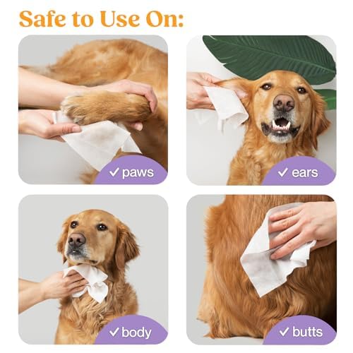 WIPEMATE LAVENDER XL PET WIPES FOR MEDIUM TO LARGE DOGS & CATS, NO-RINSE SOLUTION, HYPOALLERGENIC, GENTLE, DEODORIZING – PET WIPES FOR CLEANS PAWS, EARS, FUR, BUTT, & ANAL GLANDS (100 CT)