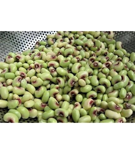 Top Pick Pinkeye Purple Hull Peas – 1000+ Seeds (8oz) Southern Cowpea, Easy Grow