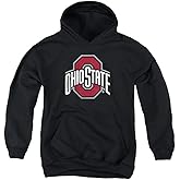 LOGOVISION The Ohio State University Official Distressed Primary Logo Youth Kids Boy/Girls Pull-Over Hoodie Sweatshirt