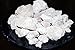 White Kaolin Clay Dirt Chunks. Raw, Crunchy and Chalky White Dirt Pieces