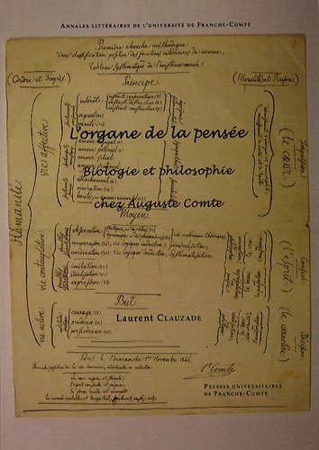 L' organe de la pensée