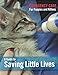 AP Taber Store KMR Kitten Milk Replacer Powder Kittens & Cats Four Paws Kitten Nursing Bottle PetAg KMR 2nd Step Kitten Weaning Food Powder Saving Little Lives Brochure Bundle