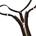 MASS21 Women Sexy Underwear Hot Sexy G-String Thong with Zipper One Size