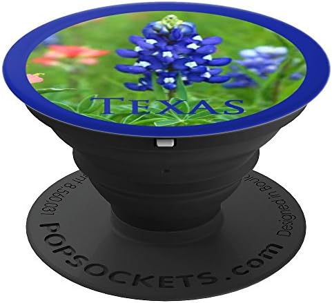 Blue Bonnet Texas Wildflower