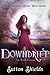 DOWNDRIFT (The Merworld Water Wars Book 4)
