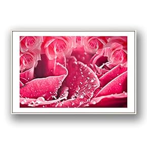 Framed Canvas Wall Art for Living Room, Bedroom Rose Flowers Canvas Prints for Modern Home Decoration Ready to Hang - 16"x24" inches