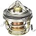 Motorcraft Thermostat