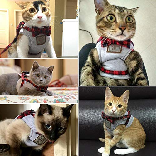 Bestmemories Dog Retractable Leads Dog Traction Rope Pet Leash Set Trendy Cat Harness for Walking Traveling Outside